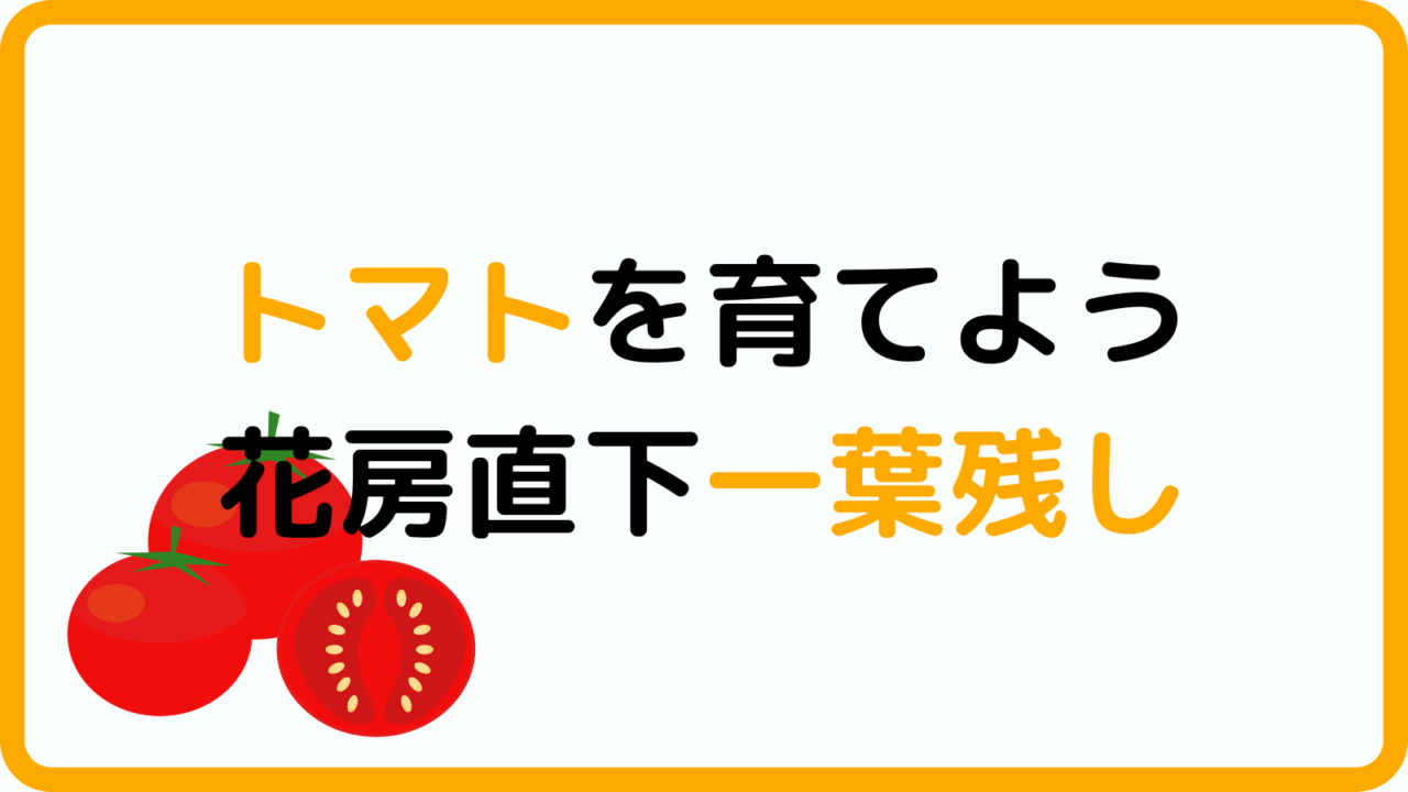 花房直下一葉残し